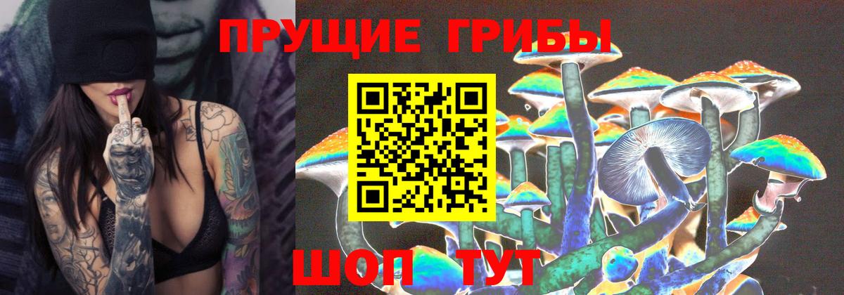 Волгоград  Псилоцибиновые грибы ЛСД  Вход с VPN 
