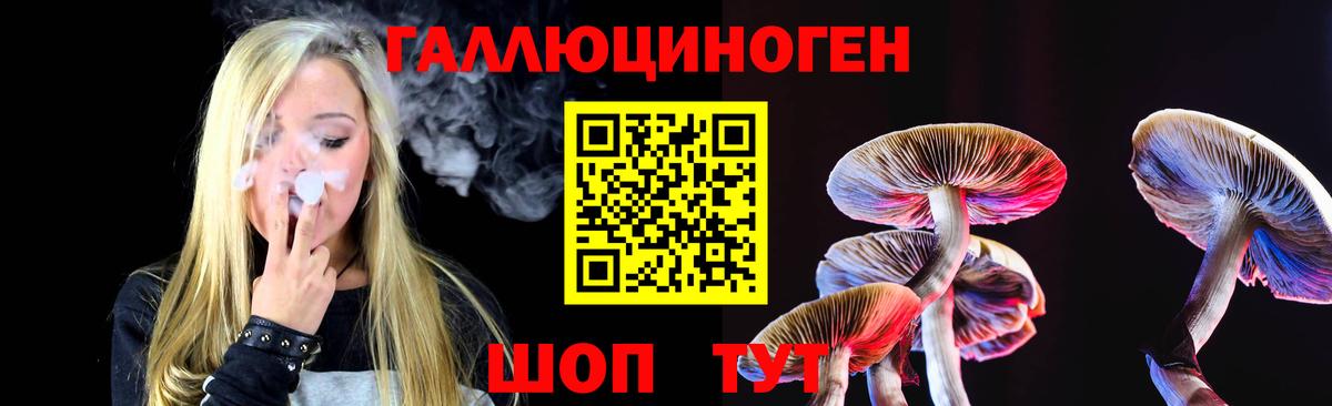 Галлюциногенные грибы прущие грибы Волгоград